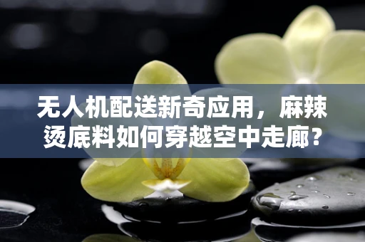 无人机配送新奇应用，麻辣烫底料如何穿越空中走廊？