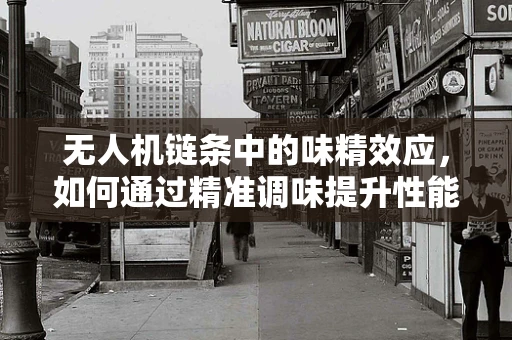无人机链条中的味精效应，如何通过精准调味提升性能？