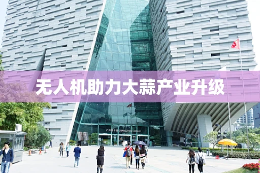 无人机助力大蒜产业升级