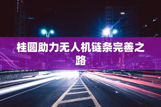 桂圆助力无人机链条完善之路