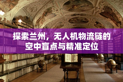 探索兰州，无人机物流链的空中盲点与精准定位