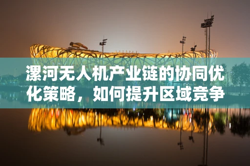 漯河无人机产业链的协同优化策略，如何提升区域竞争力？