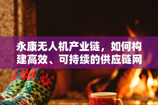 永康无人机产业链，如何构建高效、可持续的供应链网络？