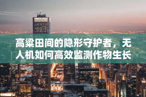 高粱田间的隐形守护者，无人机如何高效监测作物生长？
