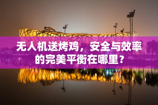 无人机送烤鸡，安全与效率的完美平衡在哪里？