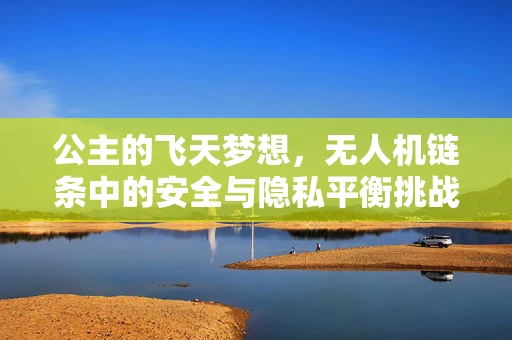 公主的飞天梦想，无人机链条中的安全与隐私平衡挑战
