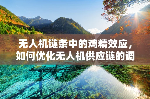 无人机链条中的鸡精效应，如何优化无人机供应链的调味品？