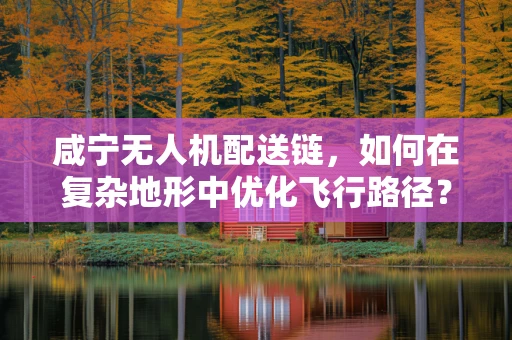 咸宁无人机配送链，如何在复杂地形中优化飞行路径？