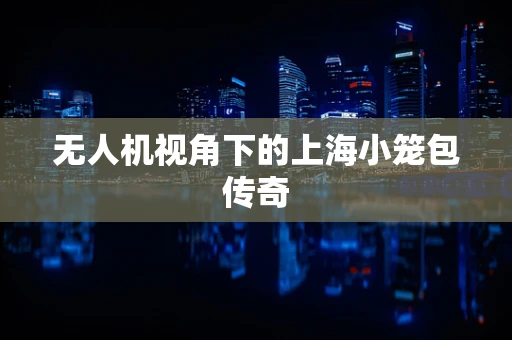 无人机视角下的上海小笼包传奇