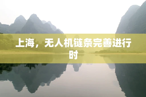 上海，无人机链条完善进行时