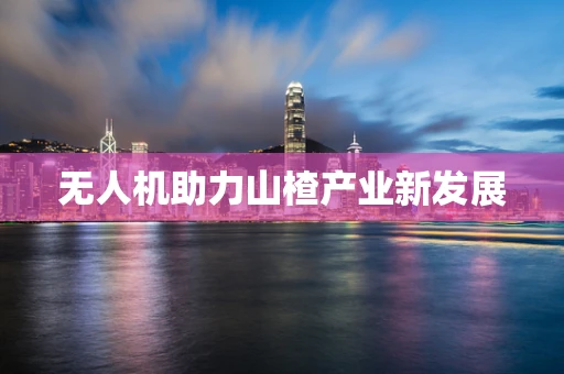 无人机助力山楂产业新发展
