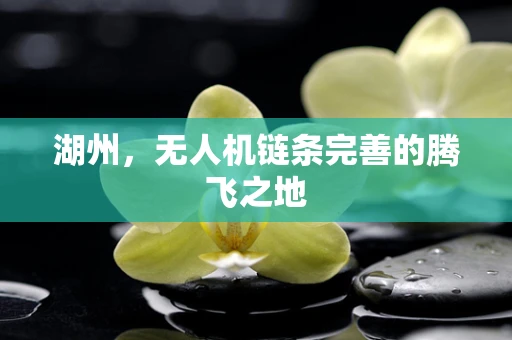 湖州，无人机链条完善的腾飞之地