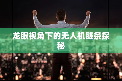 龙眼视角下的无人机链条探秘