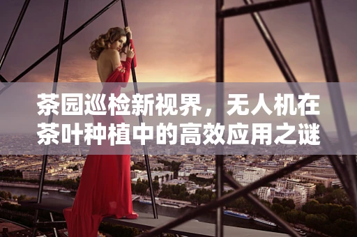 茶园巡检新视界，无人机在茶叶种植中的高效应用之谜