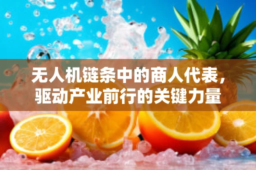 无人机链条中的商人代表，驱动产业前行的关键力量