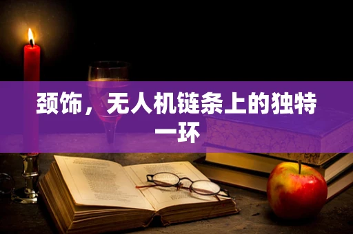 颈饰，无人机链条上的独特一环