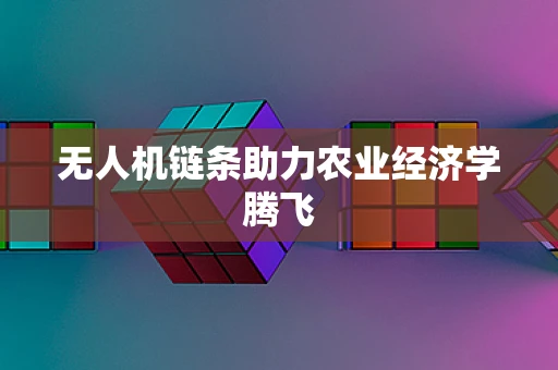 无人机链条助力农业经济学腾飞