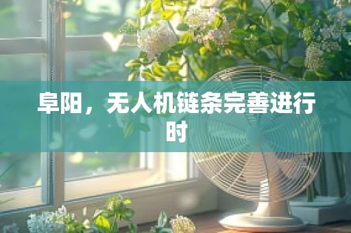 阜阳，无人机链条完善进行时