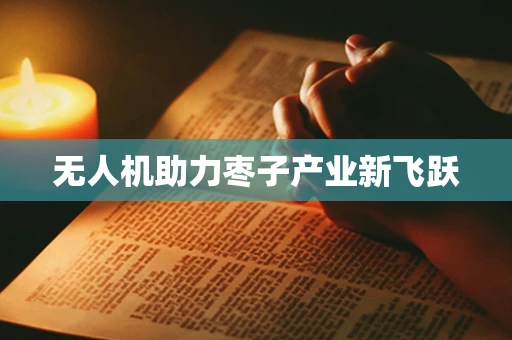 无人机助力枣子产业新飞跃