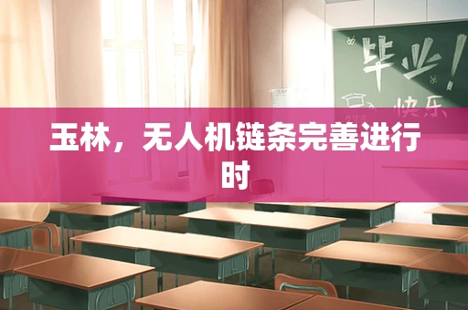 玉林，无人机链条完善进行时
