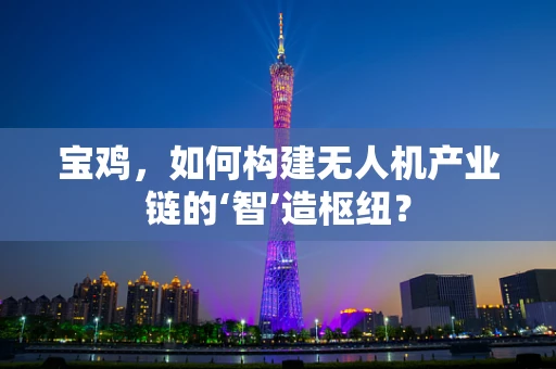 宝鸡，如何构建无人机产业链的‘智’造枢纽？