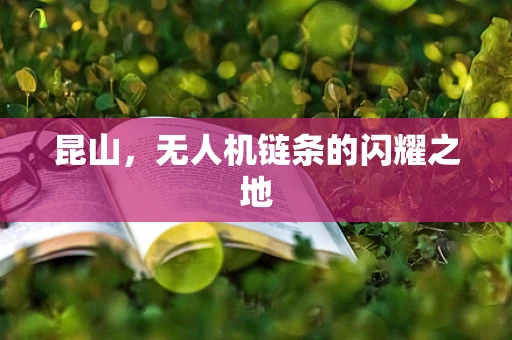 昆山，无人机链条的闪耀之地