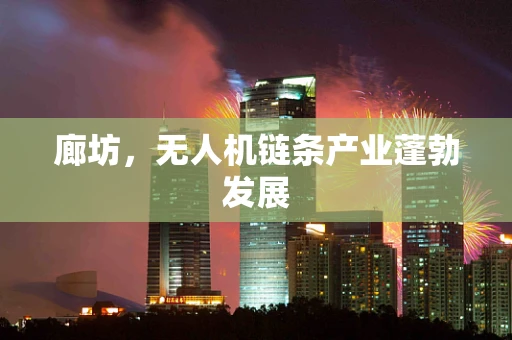 廊坊，无人机链条产业蓬勃发展