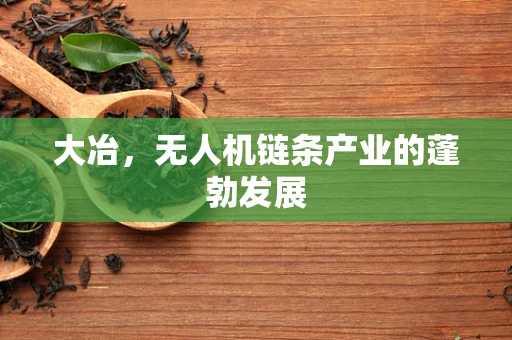 大冶，无人机链条产业的蓬勃发展