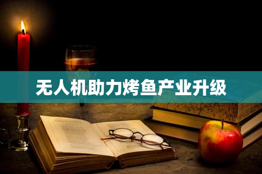 无人机助力烤鱼产业升级