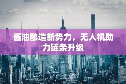 酱油酿造新势力，无人机助力链条升级