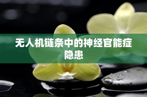 无人机链条中的神经官能症隐患
