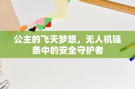 公主的飞天梦想，无人机链条中的安全守护者