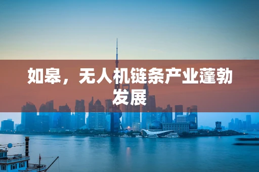 如皋，无人机链条产业蓬勃发展