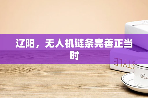 辽阳，无人机链条完善正当时