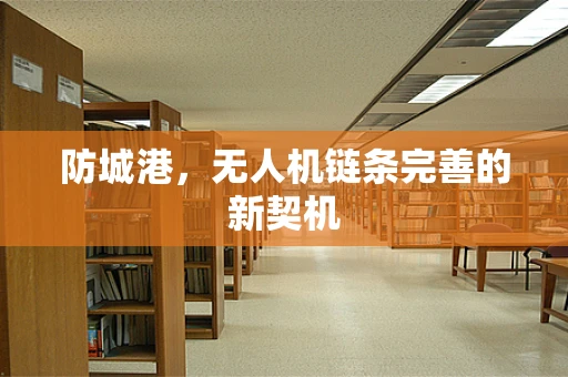 防城港，无人机链条完善的新契机
