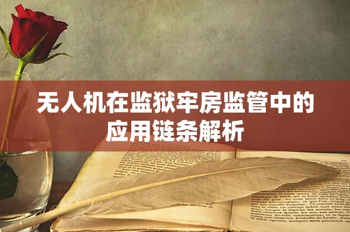 无人机在监狱牢房监管中的应用链条解析