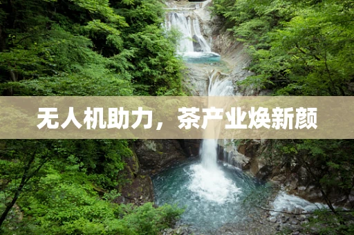 无人机助力，茶产业焕新颜