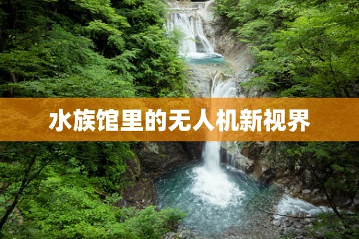 水族馆里的无人机新视界