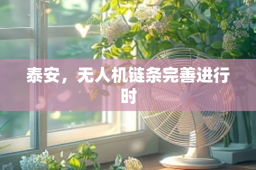 泰安，无人机链条完善进行时