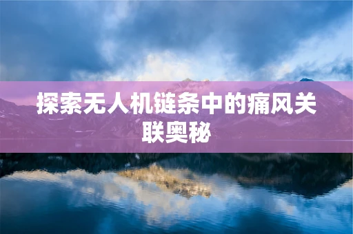 探索无人机链条中的痛风关联奥秘