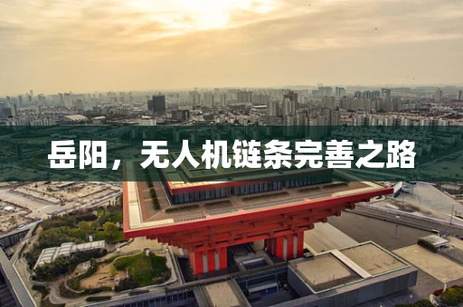 岳阳，无人机链条完善之路