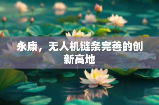 永康，无人机链条完善的创新高地
