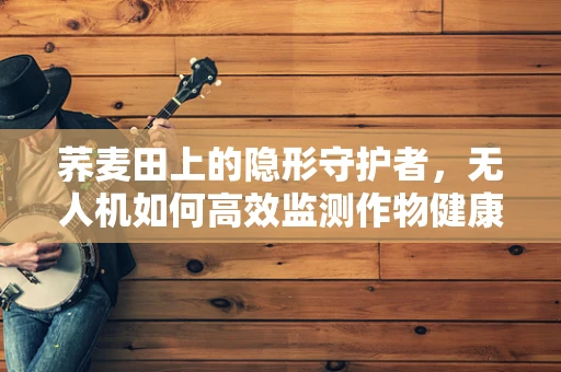 荞麦田上的隐形守护者，无人机如何高效监测作物健康？