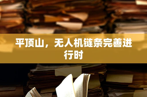 平顶山，无人机链条完善进行时