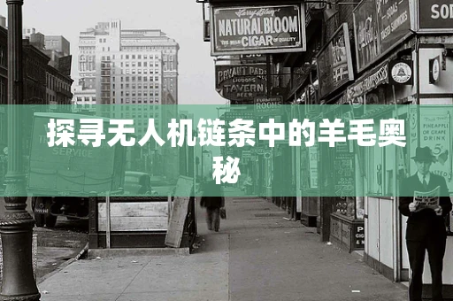 探寻无人机链条中的羊毛奥秘