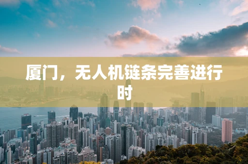 厦门，无人机链条完善进行时