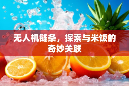无人机链条，探索与米饭的奇妙关联