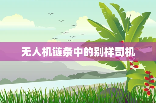 无人机链条中的别样司机