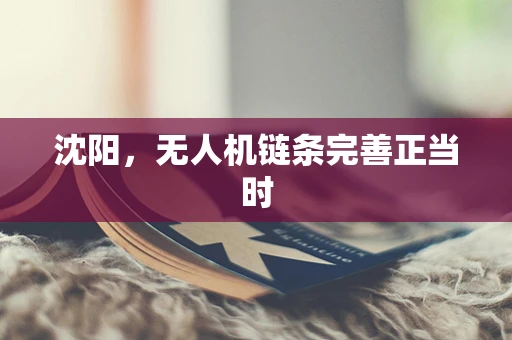 沈阳，无人机链条完善正当时