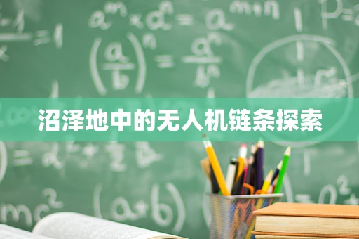 沼泽地中的无人机链条探索